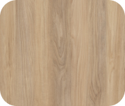 Fordham превью