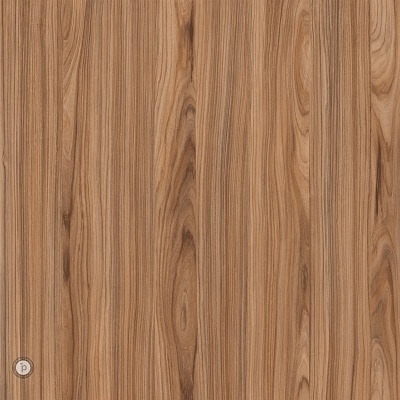 Pau Ferro 1 фото