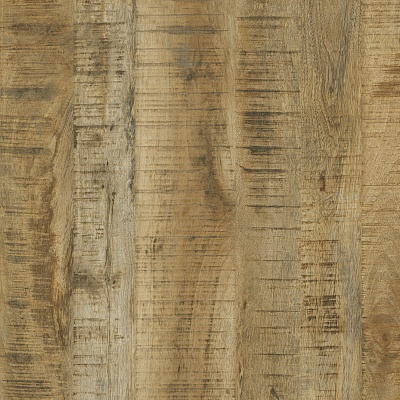 Timor Mango 1 фото