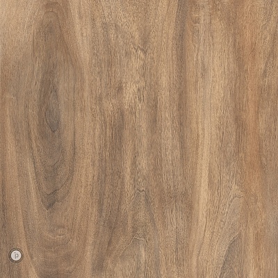 Joaquin Walnut 1 фото